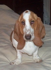 Marlo 2005