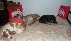 Shy Girl, Shiloh, &amp; Marlo 2005