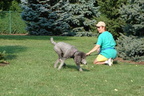 PP22_2007_Jango.jpg